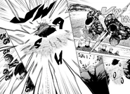 Yoshimura RC cell projection.png (3.04 MB) RC Cell Projection