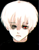 Kaneki's profile in Vol. 14.