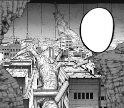 24th Ward, Tokyo Ghoul Wiki