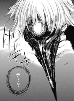 Kaneki Ken Wiki Tokyo Ghoul Fandom