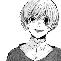 Tokyo Ghoul (anime), Tokyo Ghoul Wiki