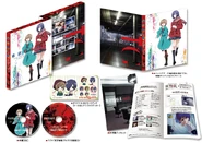 DVD-BD 9 Package.jpg (217 KB) DVD/BD 9 Package