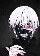 Kaneki on the cover of the Season one collector's edition (NA).