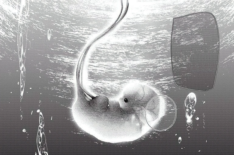 Halfhuman Tokyo Ghoul Wiki Fandom