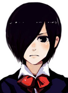 Touka's profile in volume 2.