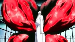 La quinque se prépare à capturé Tatara