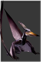 Pteranodon | Tokyo Jungle Wiki | Fandom