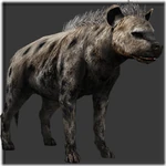 HYENA STATION  hyenna.jpg?width=1280&height=