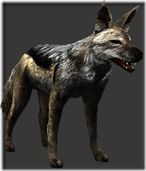 Jackal | Tokyo Jungle Wiki | Fandom