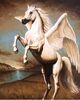 Pegasus