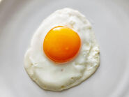 Egg