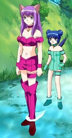 Zakuro Fujiwara, Tokyo Mew Mew Wiki