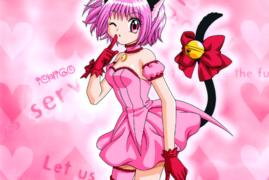 Flan, Tokyo Mew Mew Fanon Wiki