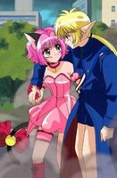 Mew Ichigo with Blue Knight