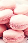 Macaron