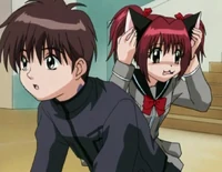 Masaya Aoyama | Tokyo Mew Mew Fanon Wiki | Fandom
