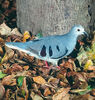 Purple-Winged Ground Dove