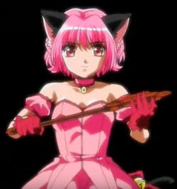 Mew Aqua Rod, Tokyo Mew Mew Wiki