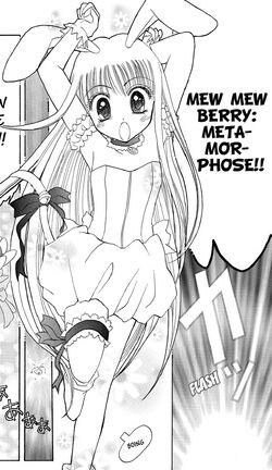 Berry Shirayuki, Tokyo Mew Mew Wiki