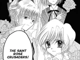 Saint Rose Crusaders