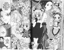 Ringo Akai, Tokyo Mew Mew Wiki