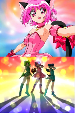 Tokyo Mew Mew, Wiki