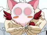 Masha (Tokyo Mew Mew)