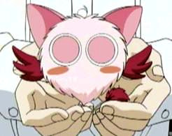 Masazo Aoyamada, Tokyo Mew Mew Wiki