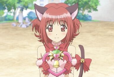 Tokyo Mew Mew New, Tokyo Mew Mew Wiki