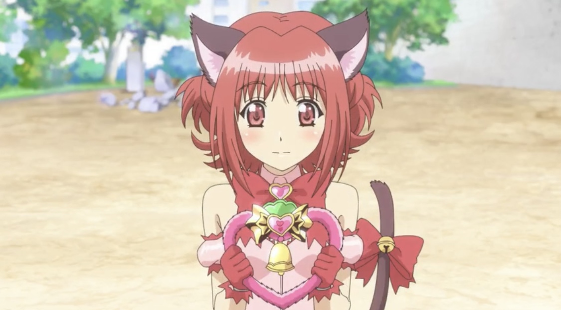 Ichigo is the leader of tokyo mew mew together they fight the