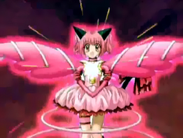 Mew Mew Power (Tokyo Mew Mew), Wiki