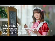 Opening Theme teaser