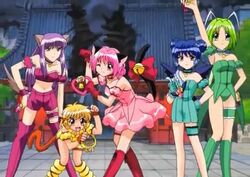 Tokyo Mew Mew Wiki