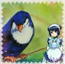 Minto Aizawa, infused with the Blue Lorikeet