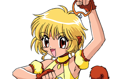 Tokyo Mew Mew Character Redirects to Lists: Saint Rose Crusaders, Lettuce  Midorikawa, Keiichiro Akasaka, Wesley J. Coolridge, Berry Shirayuki : LLC,  Books: : Libros