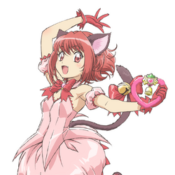 Tokyo Mew Mew (Anime), Tokyo Mew Mew Wiki