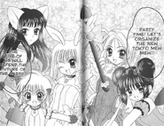 The Mew Mews in Tokyo Mew Mew a la Mode.