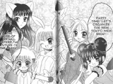Tokyo Mew Mew (Group)