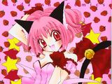 Tokyo Mew Mew (Manga)