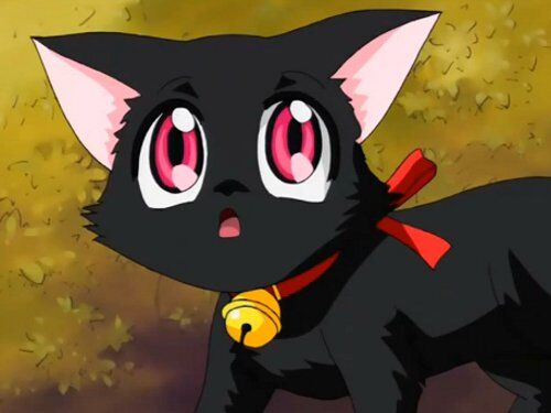 Gallery:Ichigo Momomiya, Tokyo Mew Mew Wiki, Fandom