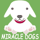 Miracle Dogs