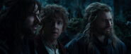 The-hobbit1-movie-screencaps.com-6708