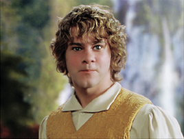 Meriadoc Brandebok