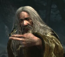 Radagast (2011)