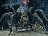 Shelob, Il Ritorno del Re