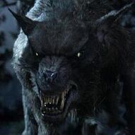 Werewolf of Morgoth