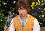 Bilbo Baggins the Hobbit