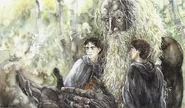 "Treebeard"