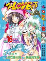 Portada del Volumen 16