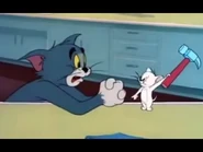 Tom błaga Jerry'ego, by się nie uderzał młotkiem